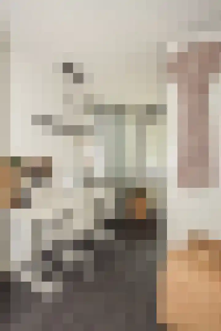 Zuster Boerestraat 13 's-Hertogenbosch thumbnail 33
