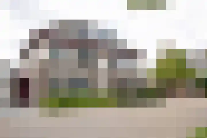 Zuster Boerestraat 13 's-Hertogenbosch thumbnail 8