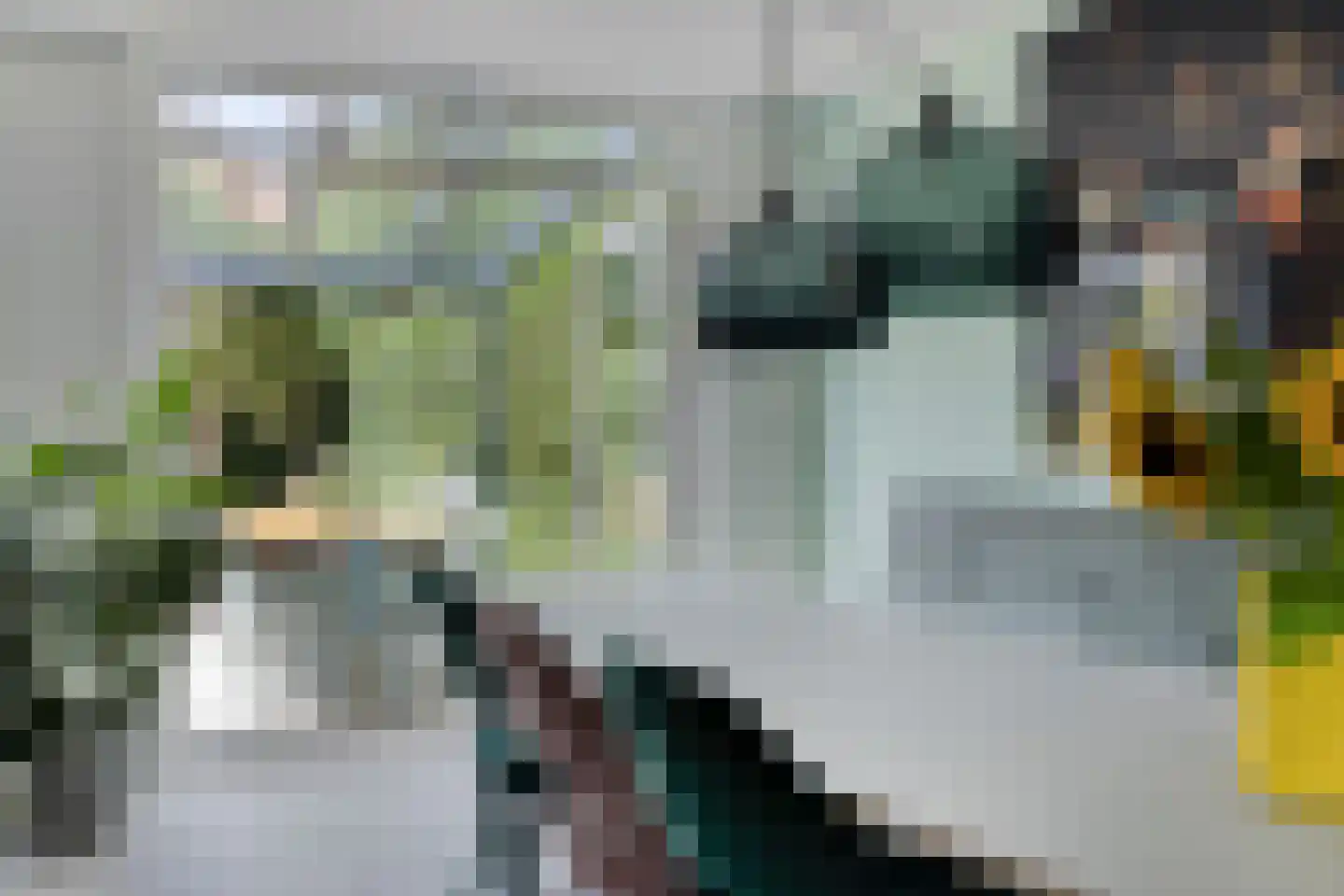 Zuster Boerestraat 22 's-Hertogenbosch thumbnail 15