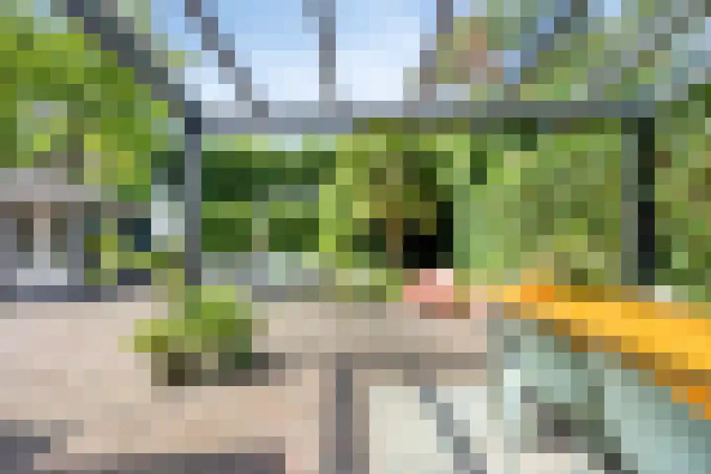 Zuster Boerestraat 22 's-Hertogenbosch thumbnail 4