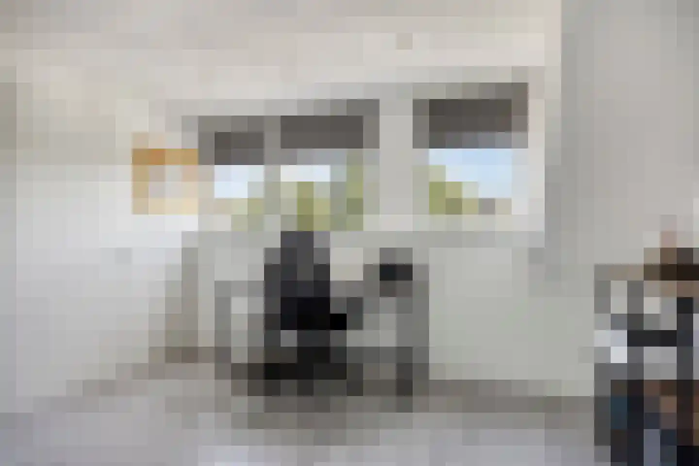 Zuster Boerestraat 22 's-Hertogenbosch thumbnail 43