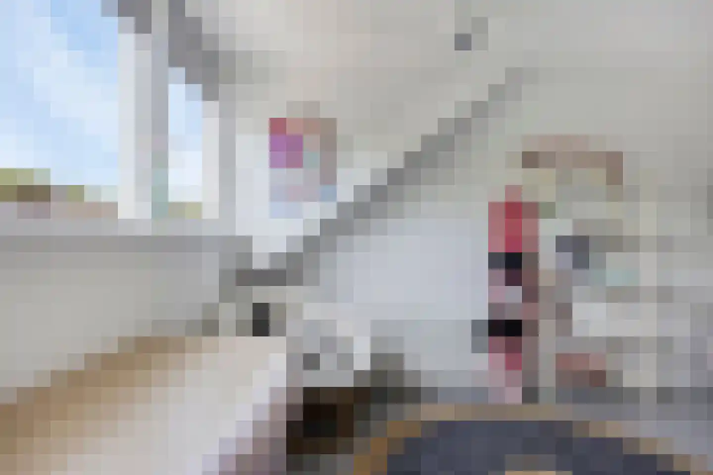 Zuster Boerestraat 22 's-Hertogenbosch thumbnail 48