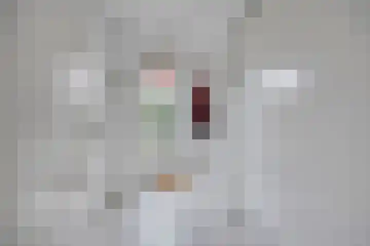 Zuster Boerestraat 5 's-Hertogenbosch thumbnail 17