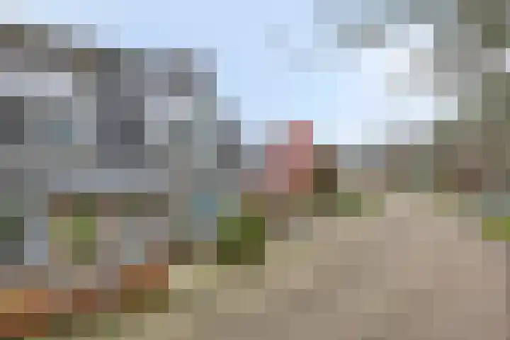 Zuster Boerestraat 5 's-Hertogenbosch thumbnail 43
