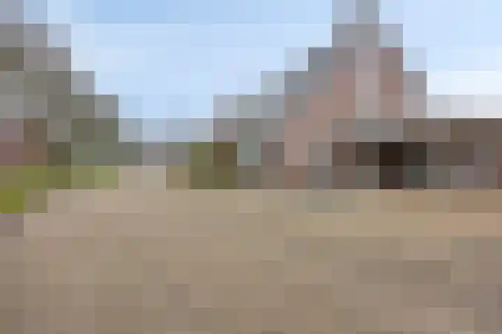 Zuster Boerestraat 5 's-Hertogenbosch thumbnail 44