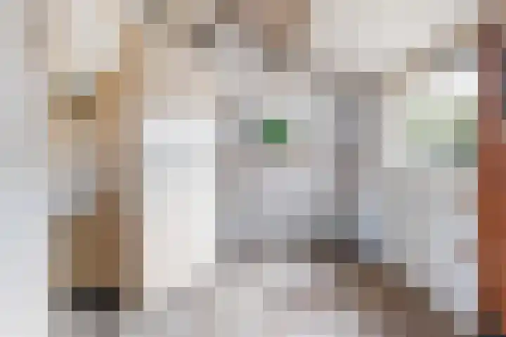 Zuster Cassianastraat 7 Deest thumbnail 12