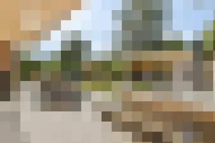 Zuster Claassenhof 14 Abcoude thumbnail 12