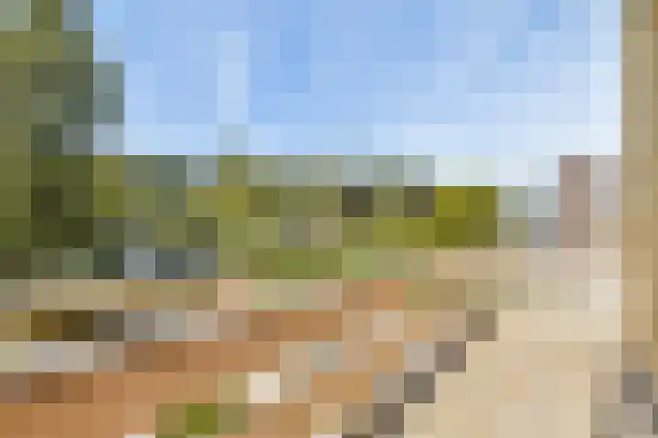 Zuster Claassenhof 14 Abcoude thumbnail 24