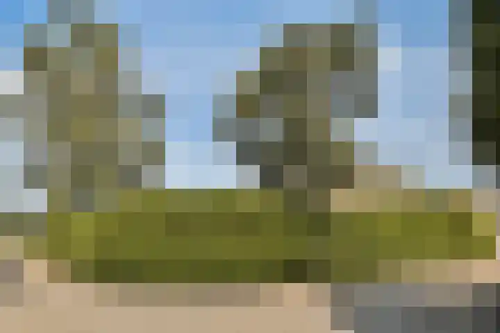 Zuster Claassenhof 14 Abcoude thumbnail 34