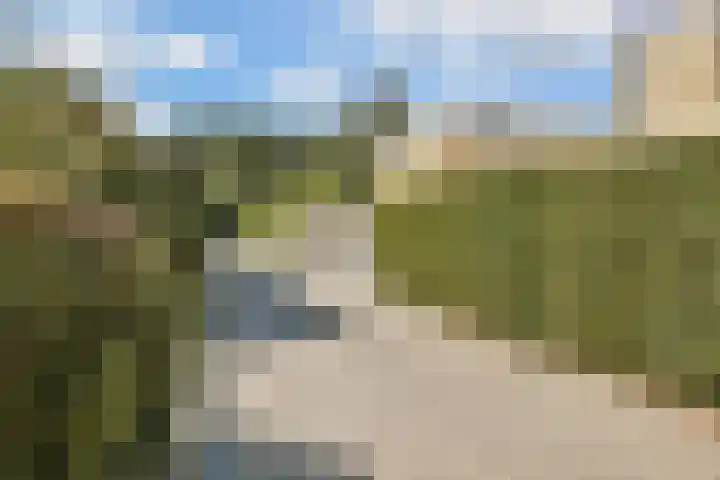 Zuster Claassenhof 14 Abcoude thumbnail 35