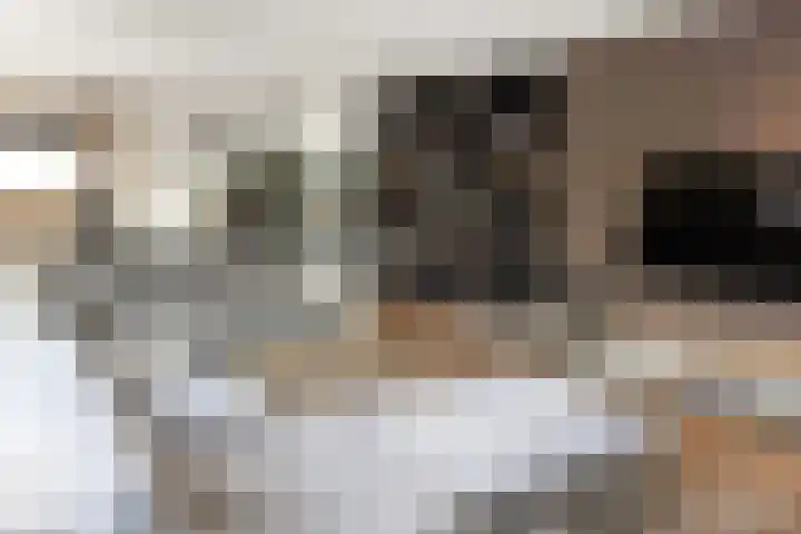 Zuster Claassenhof 21 Abcoude thumbnail 11