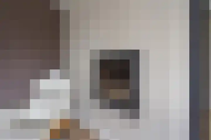 Zuster Claassenhof 21 Abcoude thumbnail 12