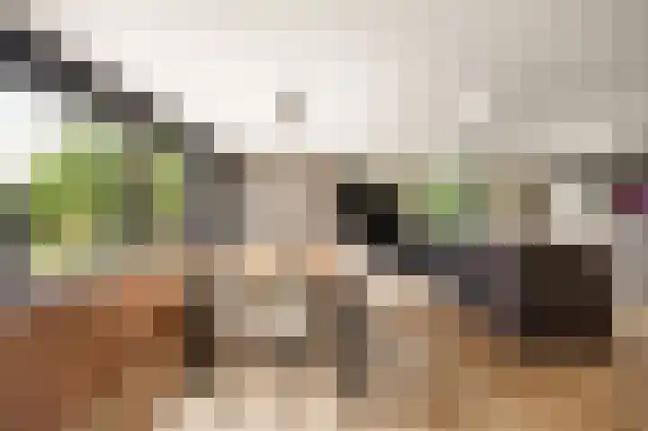 Zuster Claassenhof 21 Abcoude thumbnail 13