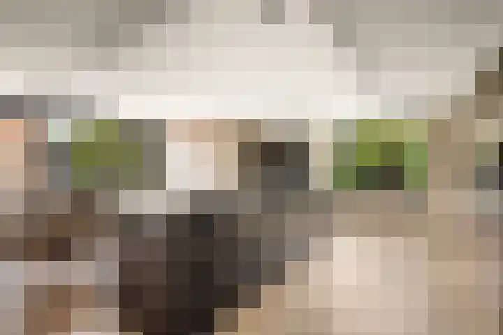 Zuster Claassenhof 21 Abcoude thumbnail 16