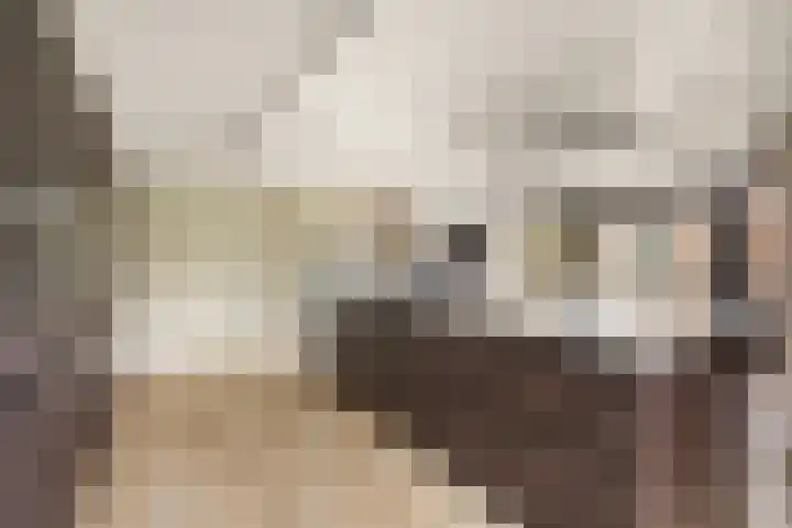 Zuster Claassenhof 21 Abcoude thumbnail 17