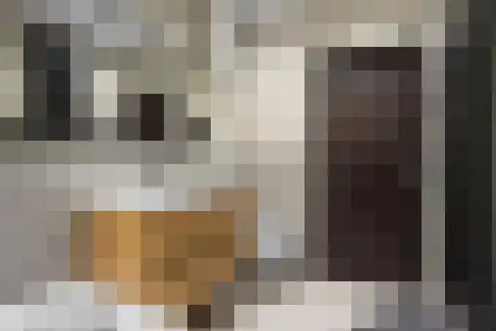 Zuster Claassenhof 21 Abcoude thumbnail 34