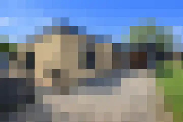 Zuster Claassenhof 21 Abcoude thumbnail 6