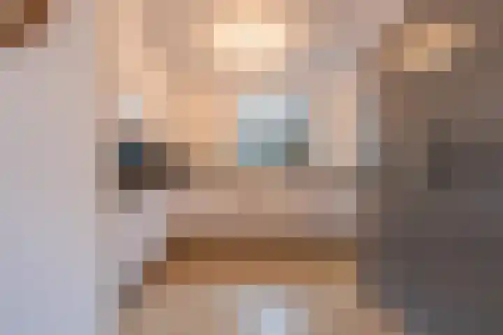 Zuster Dielsstraat 5 Winssen thumbnail 12