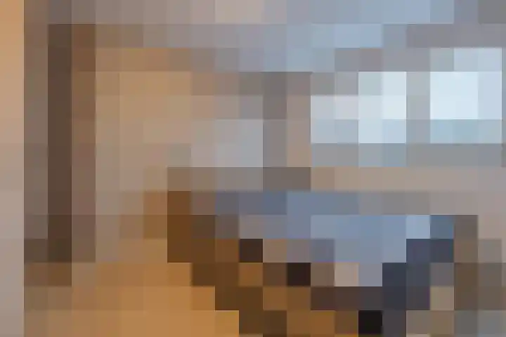Zuster Dielsstraat 5 Winssen thumbnail 33