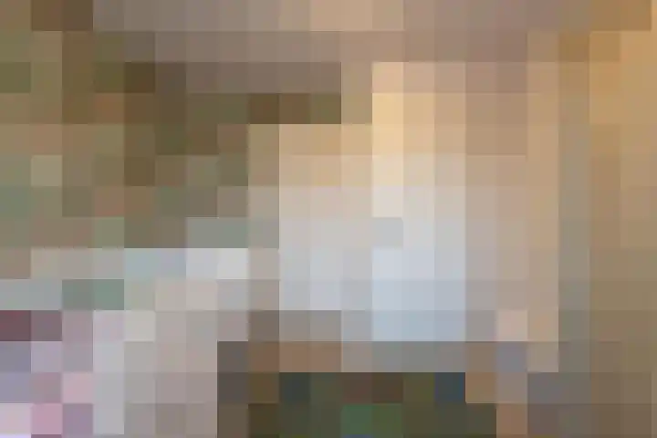 Zuster Dielsstraat 5 Winssen thumbnail 38