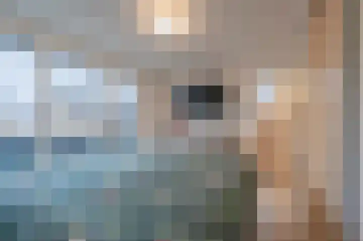 Zuster Dielsstraat 5 Winssen thumbnail 40