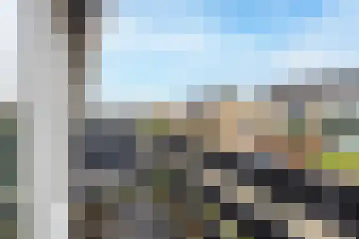 Zuster Dielsstraat 5 Winssen thumbnail 42