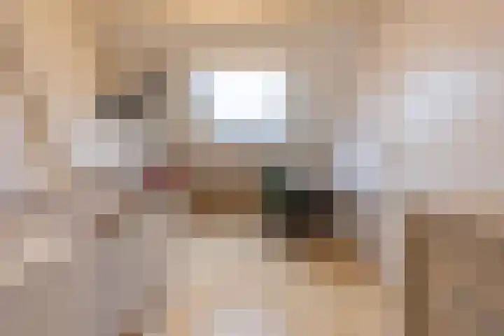 Zuster Dielsstraat 5 Winssen thumbnail 48