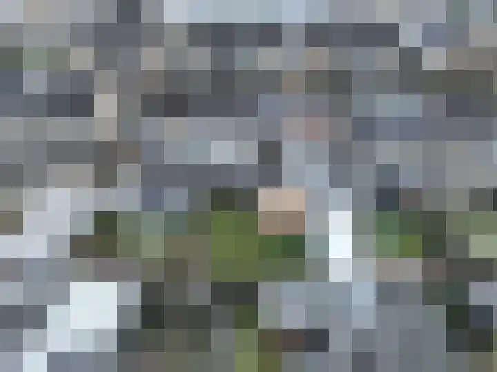 Zuster Dielsstraat 5 Winssen thumbnail 53