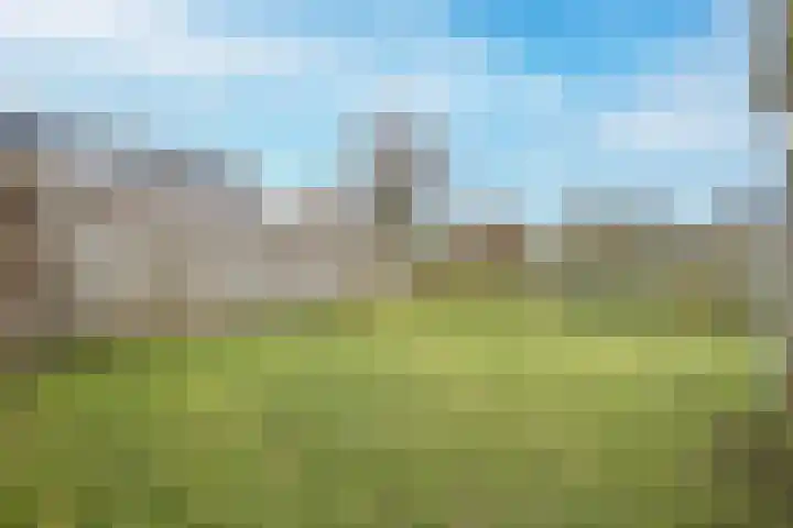 Zuster Dielsstraat 5 Winssen thumbnail 62