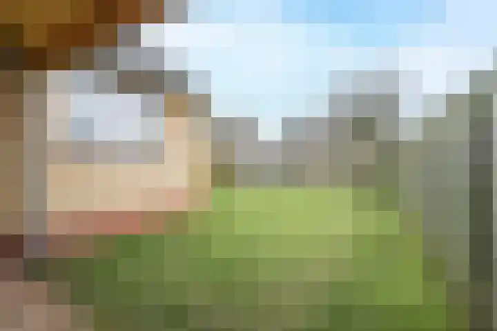 Zuster Dielsstraat 5 Winssen thumbnail 63