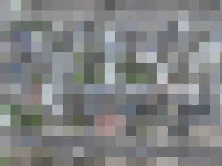 Zuster Dielsstraat 5 Winssen thumbnail 64