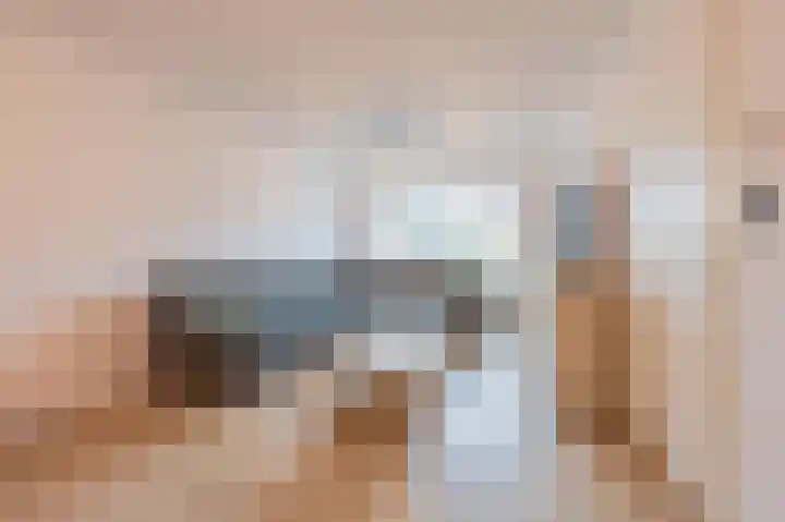 Zuster Dielsstraat 5 Winssen thumbnail 8