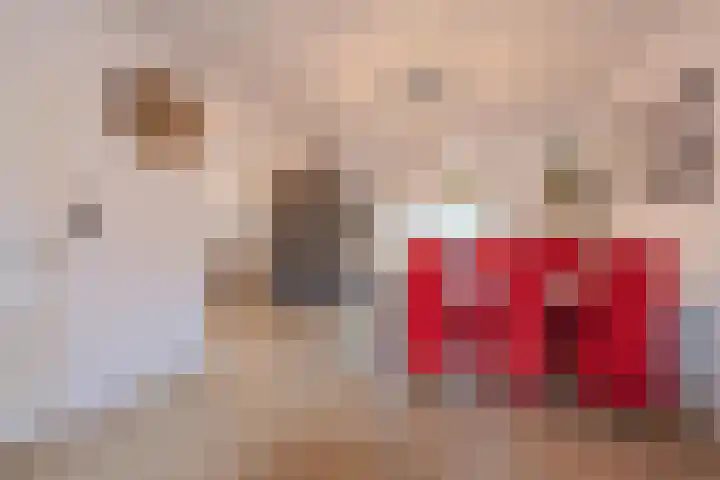 Zuster Dielsstraat 5 Winssen thumbnail 9