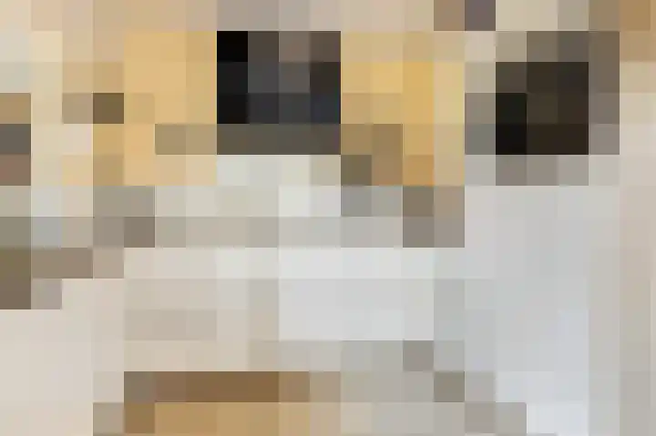 Zuster Dijkemaweg 27 Termunten thumbnail 13