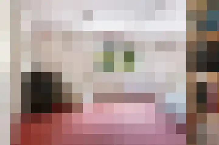 Zuster Dijkemaweg 27 Termunten thumbnail 19