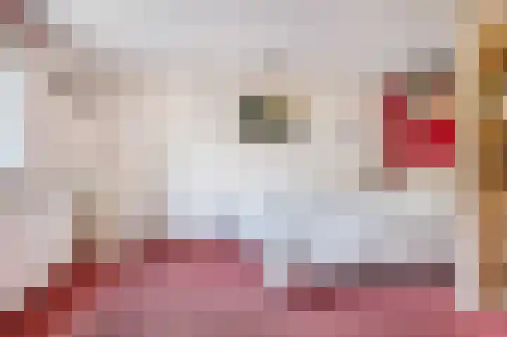 Zuster Dijkemaweg 27 Termunten thumbnail 20