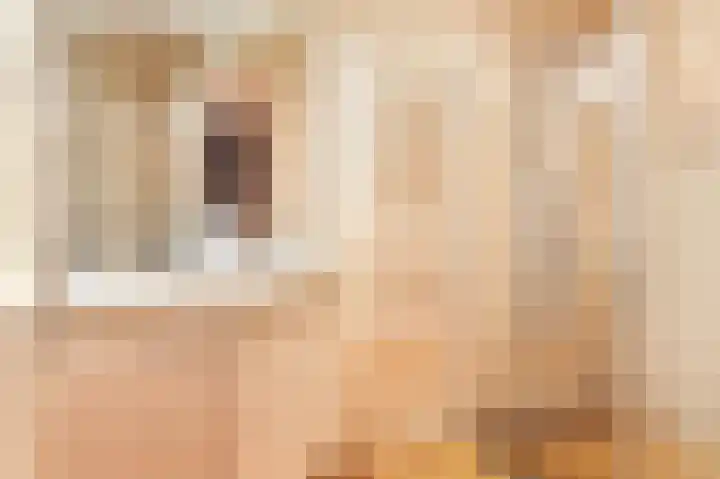 Zuster Dijkemaweg 27 Termunten thumbnail 22