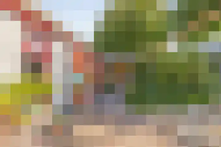 Zuster Dijkemaweg 27 Termunten thumbnail 32