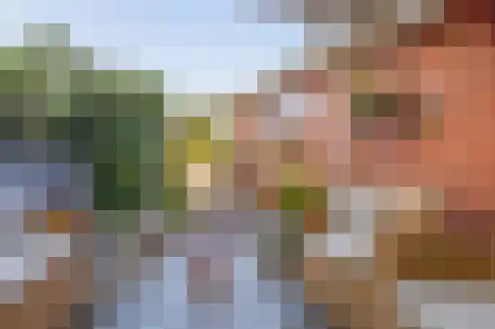 Zuster Dijkemaweg 27 Termunten thumbnail 34