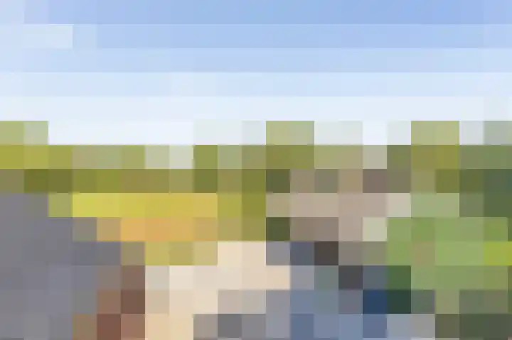 Zuster Dijkemaweg 27 Termunten thumbnail 38
