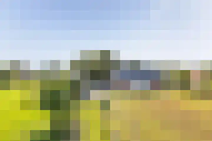 Zuster Dijkemaweg 27 Termunten thumbnail 39