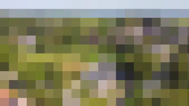 Zuster Dijkemaweg 27 Termunten thumbnail 4