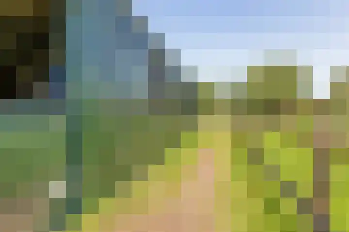 Zuster Dijkemaweg 27 Termunten thumbnail 40
