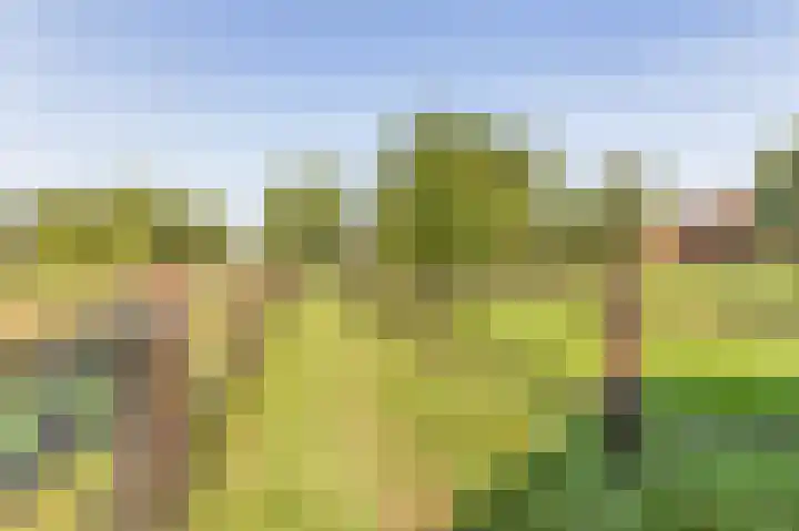 Zuster Dijkemaweg 27 Termunten thumbnail 41