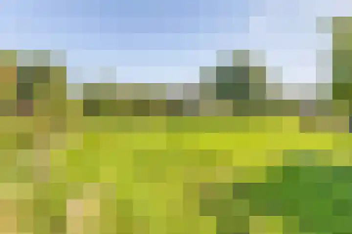 Zuster Dijkemaweg 27 Termunten thumbnail 42