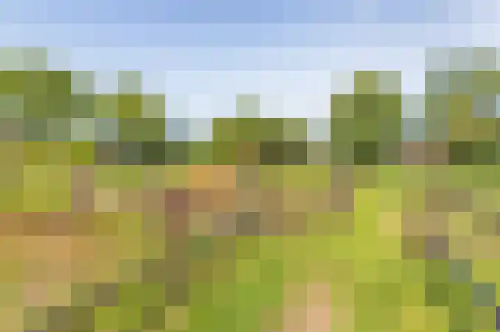 Zuster Dijkemaweg 27 Termunten thumbnail 43