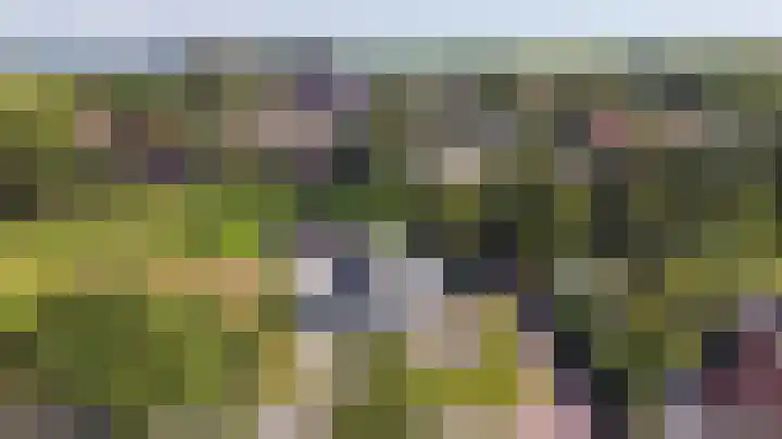 Zuster Dijkemaweg 27 Termunten thumbnail 44