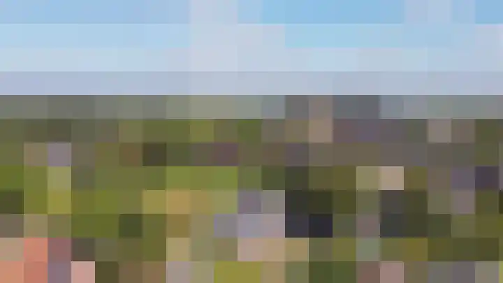 Zuster Dijkemaweg 27 Termunten thumbnail 47