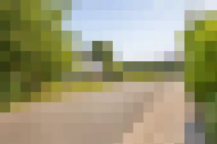 Zuster Dijkemaweg 27 Termunten thumbnail 49