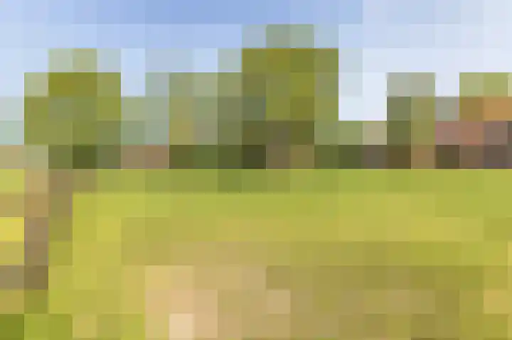 Zuster Dijkemaweg 27 Termunten thumbnail 5